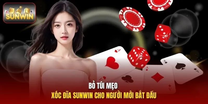 Bỏ túi mẹo xóc đĩa Sunwin cho người mới bắt đầu